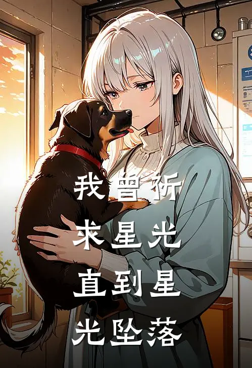 我曾祈求星光，直到星光坠落