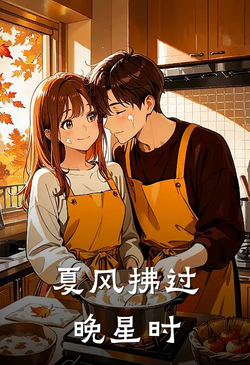 夏风拂过晚星时