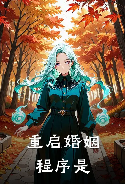 重启婚姻程序是